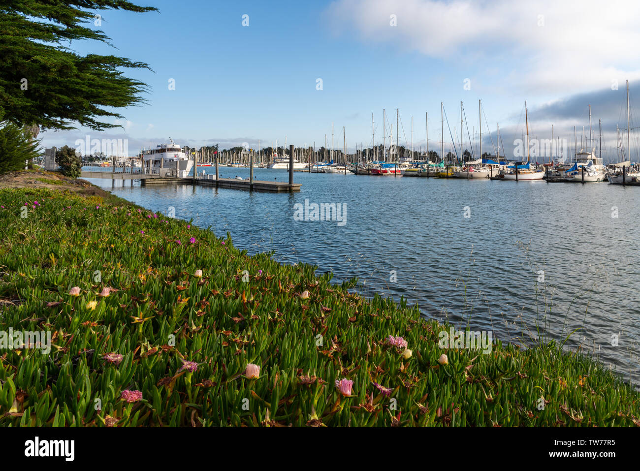 Boote an der Marina. Berkeley, Kalifornien, USA. Stockfoto