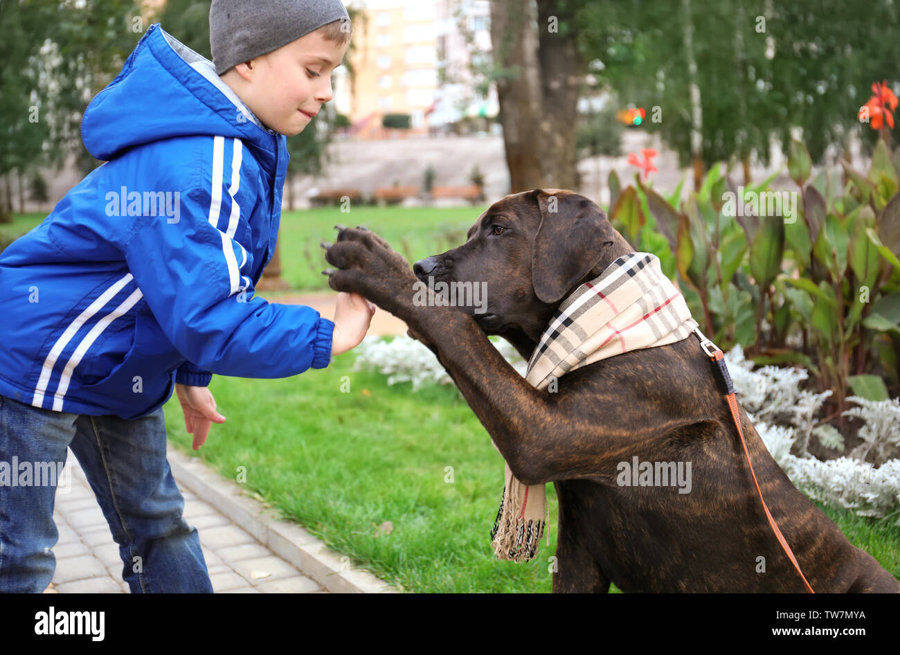 Süßer kleiner Junge spielt mit seinem Hund im Herbst Park Stockfoto