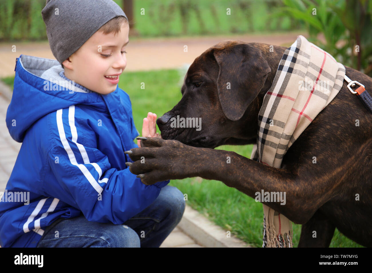 Süßer kleiner Junge spielt mit seinem Hund im Herbst Park Stockfoto