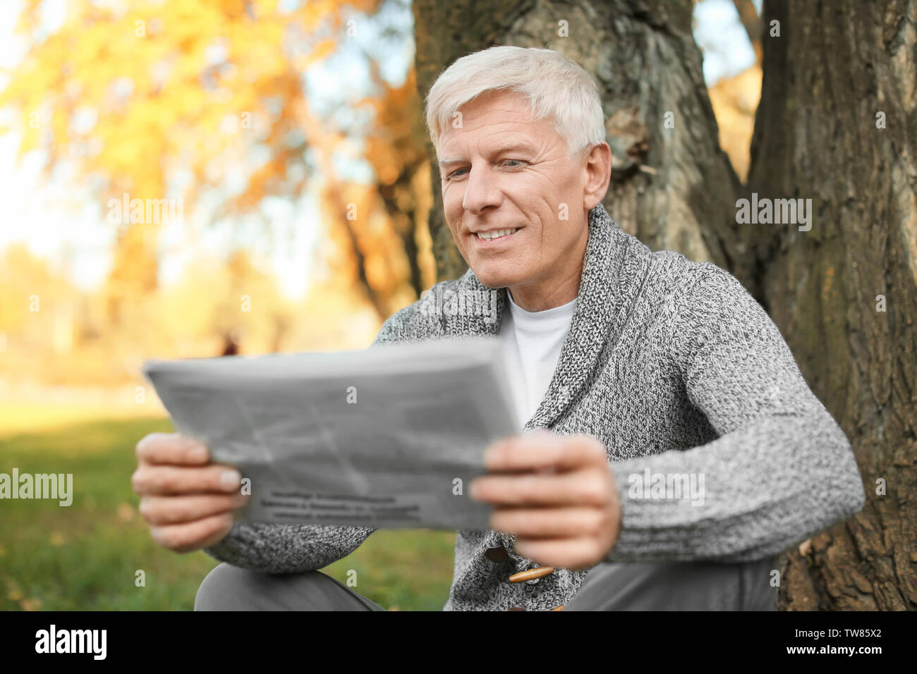 Stilvolle reifer Mann lesen Zeitung beim Sitzen in der Nähe von Baum im Herbst Park Stockfoto