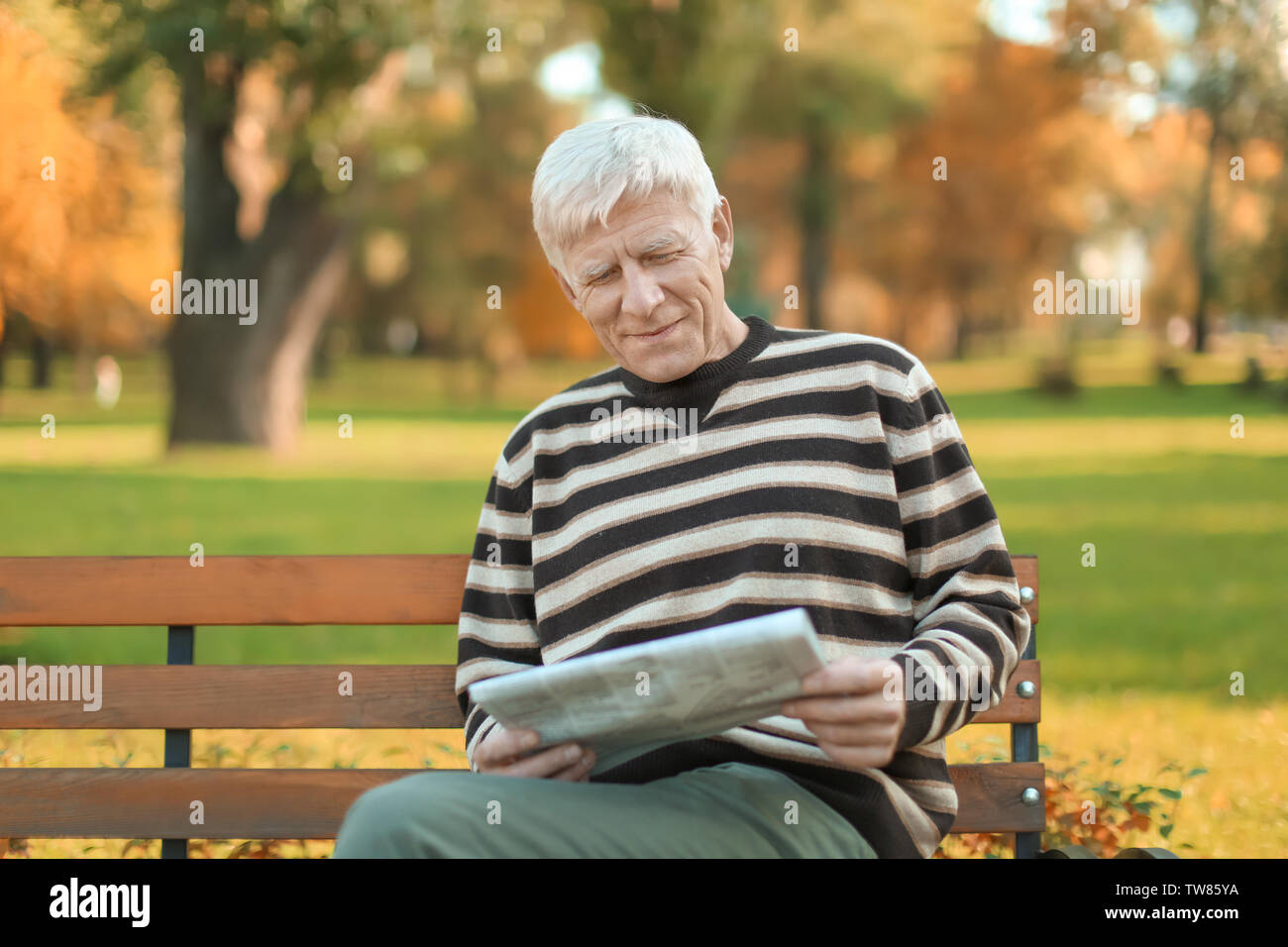 Stilvolle reifer Mann sitzt auf der Bank und lesen Zeitung im Herbst Park Stockfoto
