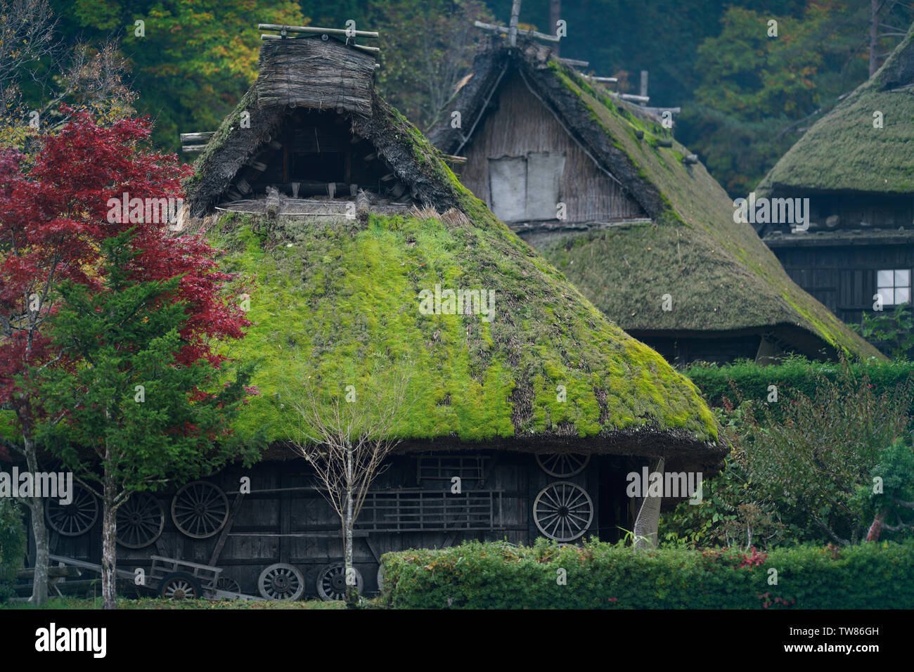 Bemoosten Strohdach der traditionellen Japanischen Gasshou Stil Häuser im Hida Folk Village. Takayama, Gifu, Japan Stockfoto