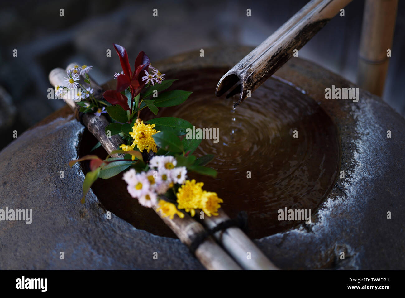 Schöne alte Wasseraufbereitung Becken mit Blumen in Takayama, Japan eingerichtet. Tsukubai Wasserreinigung Schüssel Stockfoto