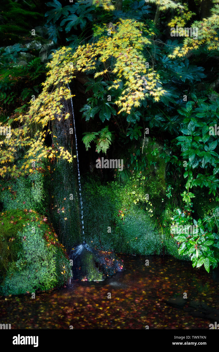 Ruhige Landschaft von Sengetsusen, ein kleiner Wasserfall in Ginkaku-ji Tempel, der silberne Pavillon Zen Garten, Jisho-ji, Kyoto, Japan Stockfoto