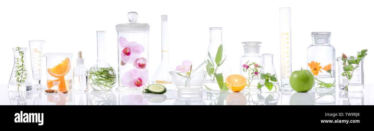 Wissenschaftliche Experiment. Kräuter, Blumen und Obst in Reagenzgläser Stockfoto