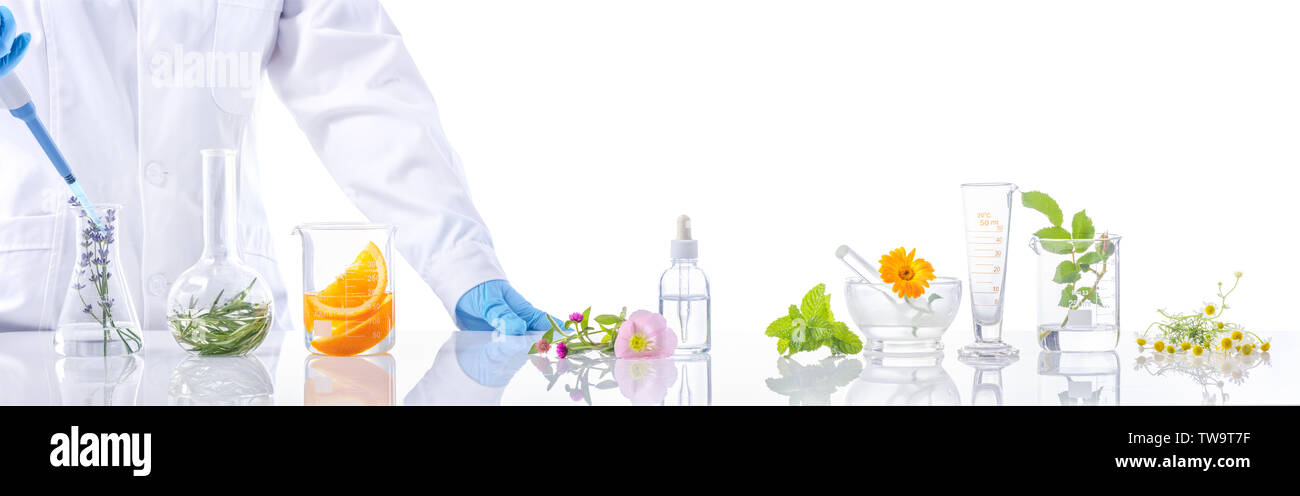 Wissenschaftliche Experiment. Kräuter, Blumen und orange in Reagenzgläsern Stockfoto