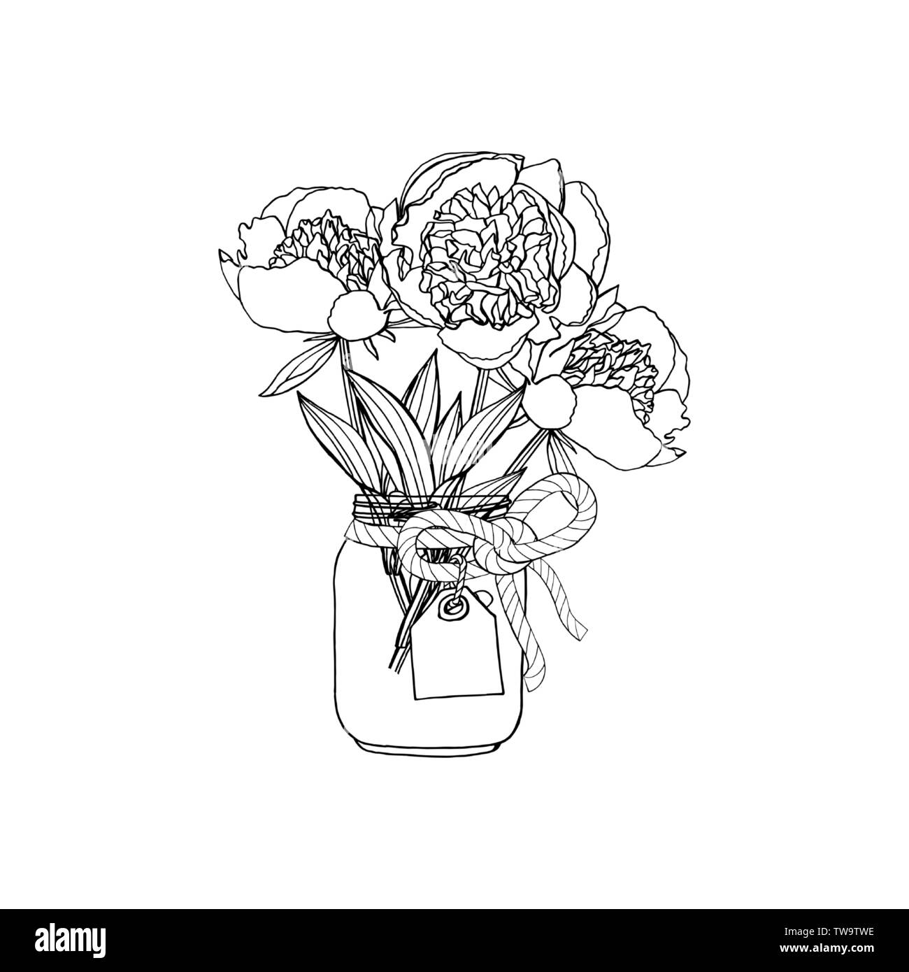 Hand gezeichnet Doodle style Bouquets der Päonien Blüten. auf weißem Hintergrund. Vektor illustration Stock Vektor
