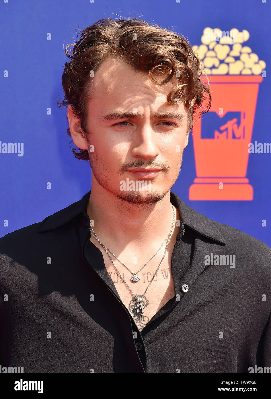 SANTA MONICA, CA - 15. Juni: Brandon Lee besucht die 2019 MTV Movie und TV Auszeichnungen bei Barker Hangar am 15. Juni 2019 in Santa Monica, Kalifornien. Stockfoto