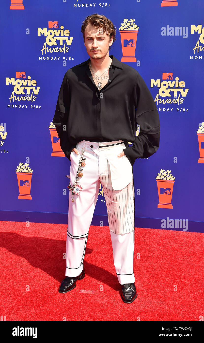 SANTA MONICA, CA - 15. Juni: Brandon Lee besucht die 2019 MTV Movie und TV Auszeichnungen bei Barker Hangar am 15. Juni 2019 in Santa Monica, Kalifornien. Stockfoto