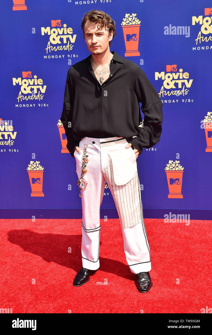 SANTA MONICA, CA - 15. Juni: Brandon Lee besucht die 2019 MTV Movie und TV Auszeichnungen bei Barker Hangar am 15. Juni 2019 in Santa Monica, Kalifornien. Stockfoto