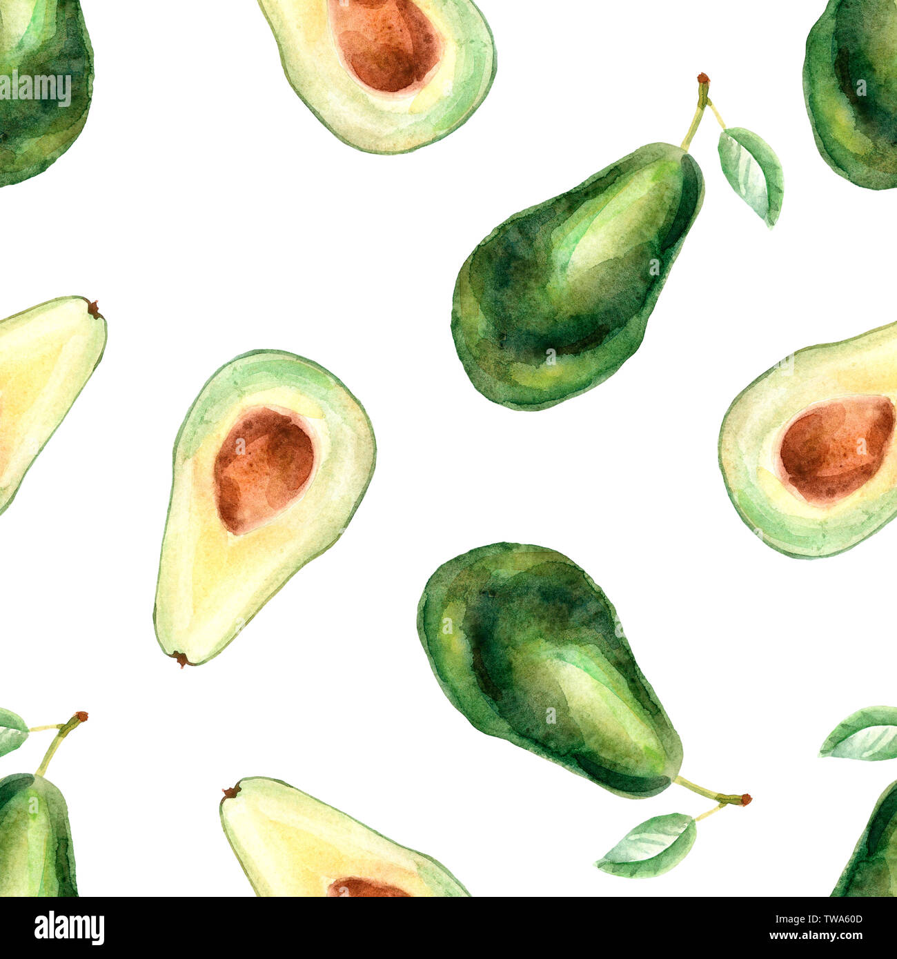 Aquarell tropischen nahtlose Muster mit Avocado auf weißem Hintergrund Stockfoto
