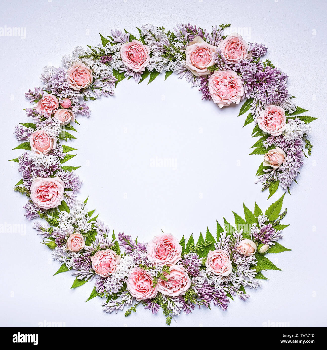 Hochzeit runden Rahmen der Blumen: Rose, Flieder, Rowan Blätter auf einem weißen Hintergrund. Floralen Muster. Kopieren Sie Platz für Text Stockfoto