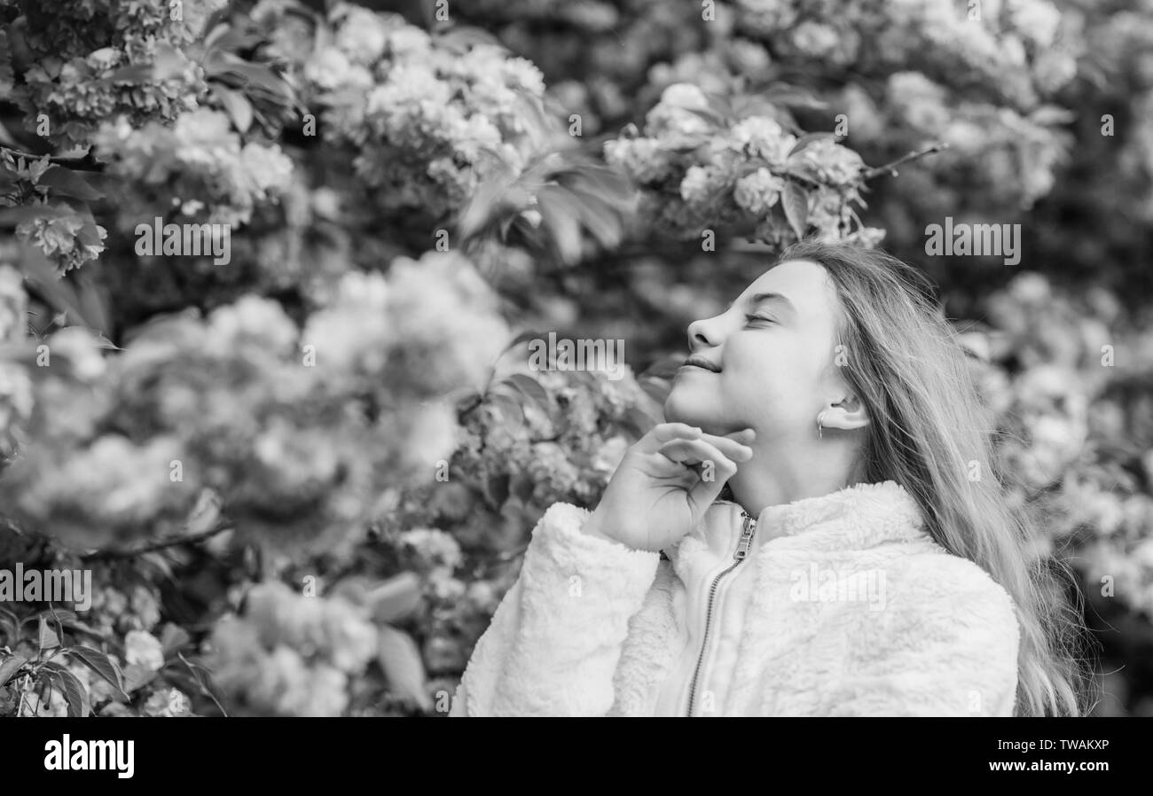 Sniffing Blumen. Kind genießen Sie warmen Frühling. Mädchen genießen blumige Aroma. Botanik Konzept. Kid genießen Cherry Blossom Sakura. Blumen als rosa Wolken. Zicklein auf rosa Blüten von Kirschbaum Hintergrund. Stockfoto