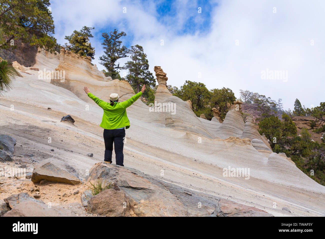 Mondlandschaft, Corona Forestal Naturpark, Vilaflor, Teneriffa, Kanarische Inseln, Spanien, Europa Stockfoto