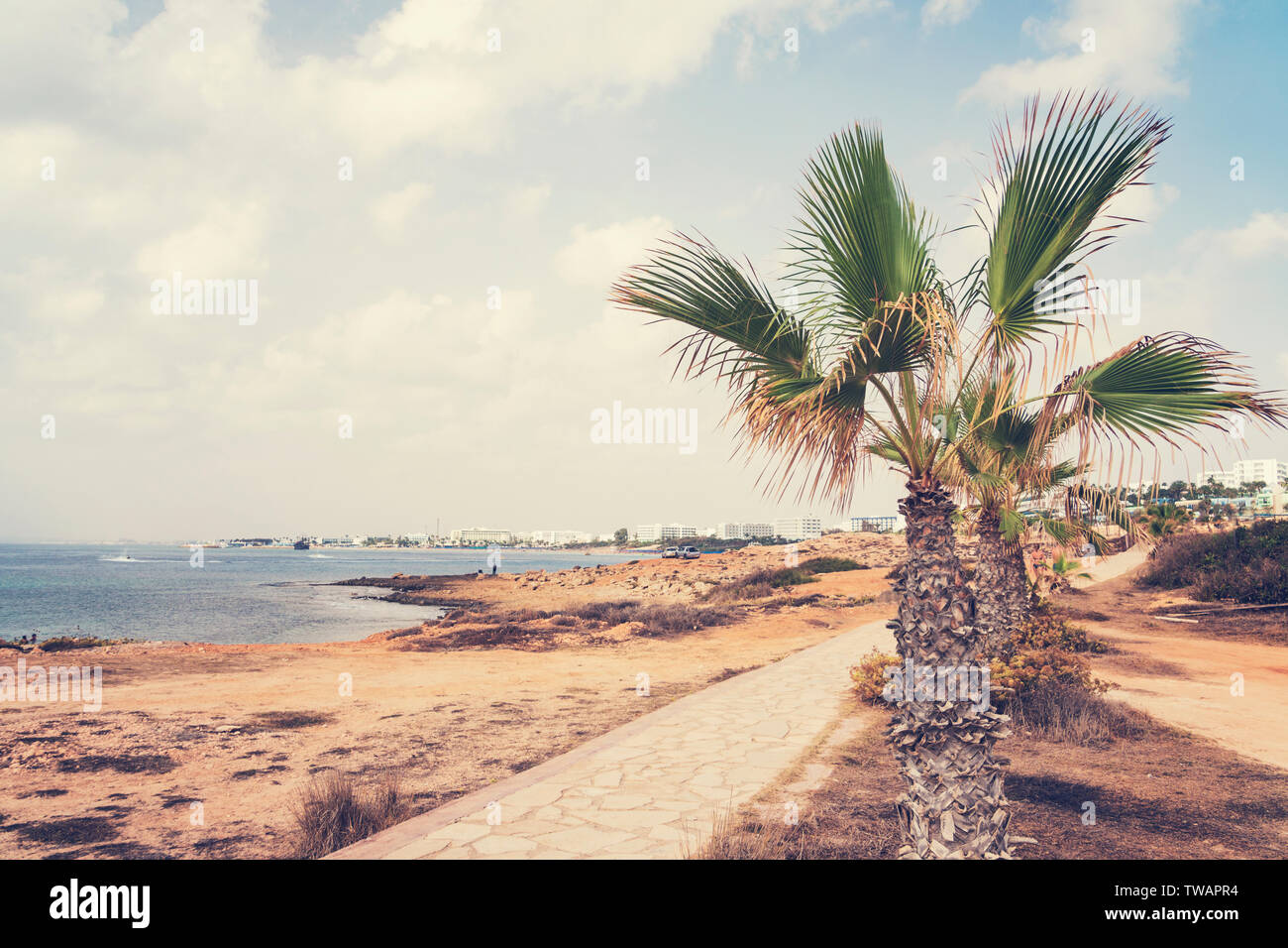 Schöner Badeort an einem heißen Sommertag. schlanken Palmen entlang der Küste. Das Konzept der Gesundheit Tourismus und Strand Erholung Stockfoto