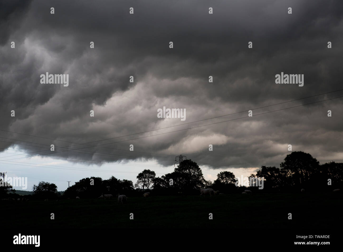 Dunkle Regenwolken vom Sturm Miguel über Meon Hill in der Nähe von Abingdon, Chipping Campden, Großbritannien drohenden Stockfoto