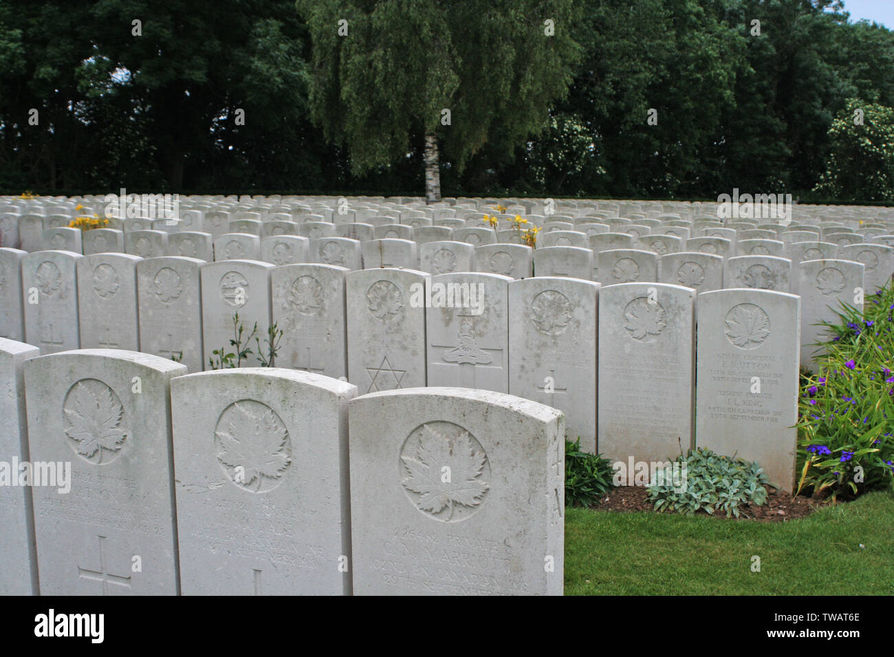 Bucquoy Straße Friedhof Agny Stockfoto