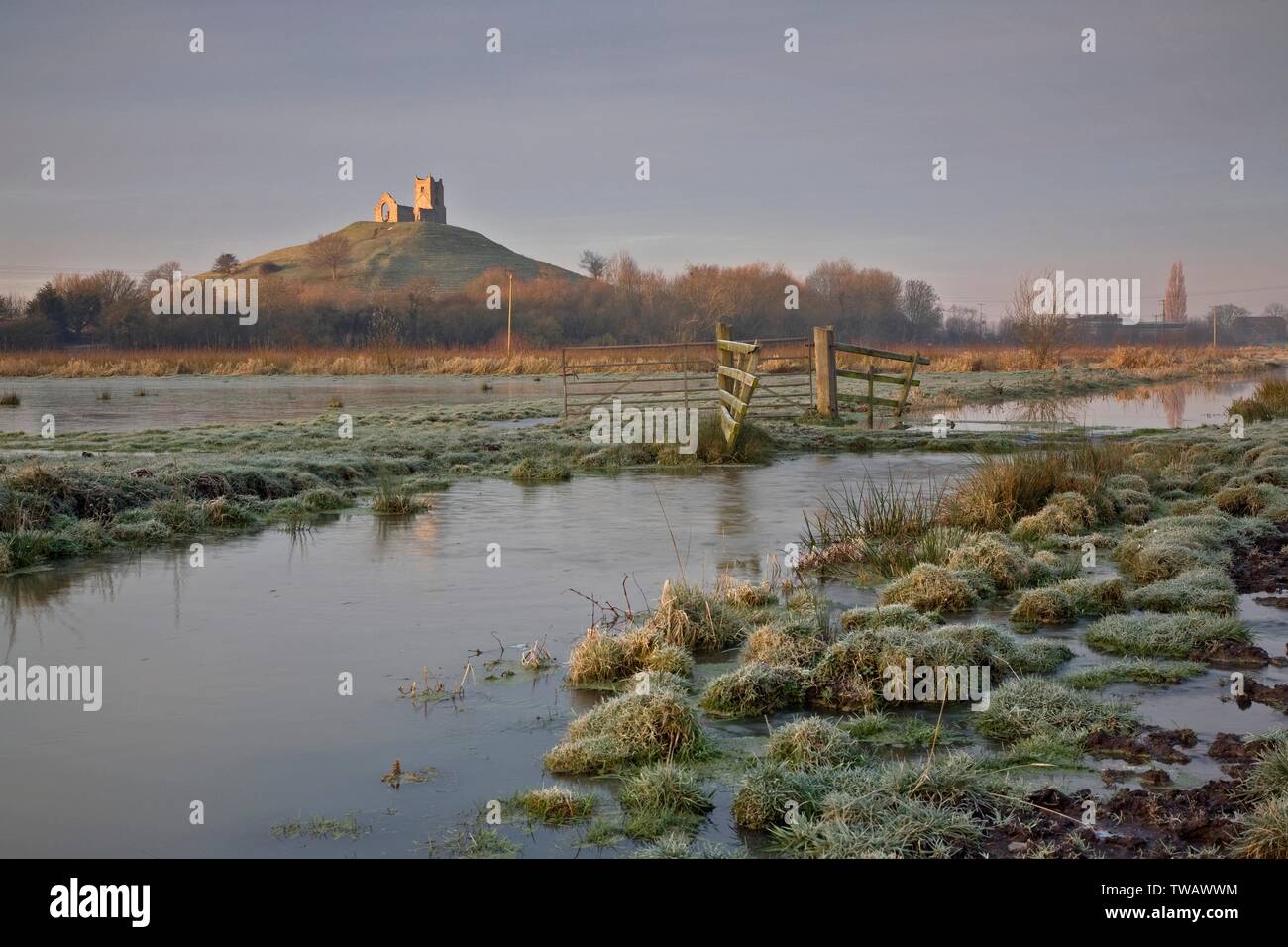 Großbritannien, England, EIN Blick über überflutete Felder auf den Somerset-Ebenen bei B. Stockfoto