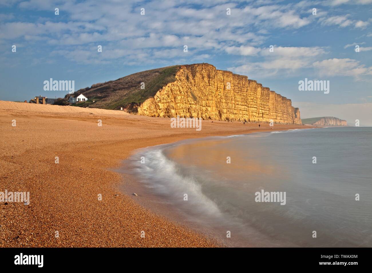 Großbritannien, England, East Cliff, West Bay, Dorse. Stockfoto