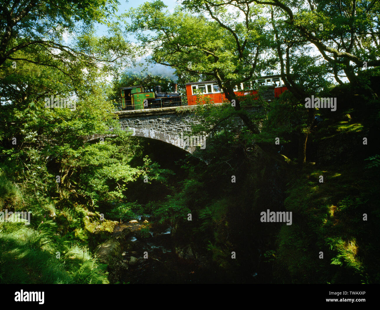 Snowdon Mountain Railway Überquerung des Afon Arddu Fluss oberhalb Llanberis station. Das kohlegefeuerte Dampflok Nr. 4 heißt Eryri Stockfoto