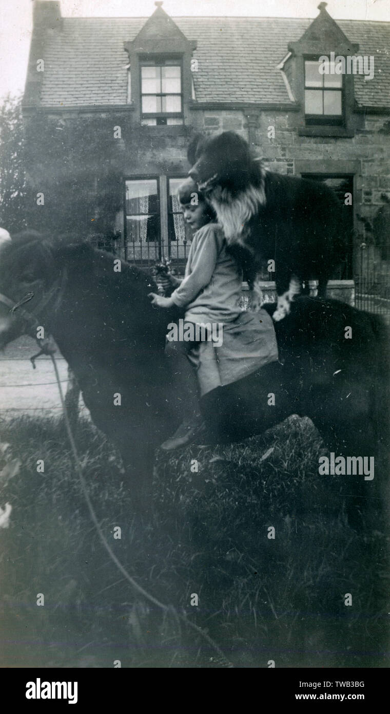 Mädchen mit Hund auf dem Pferd, 1920er Stockfoto