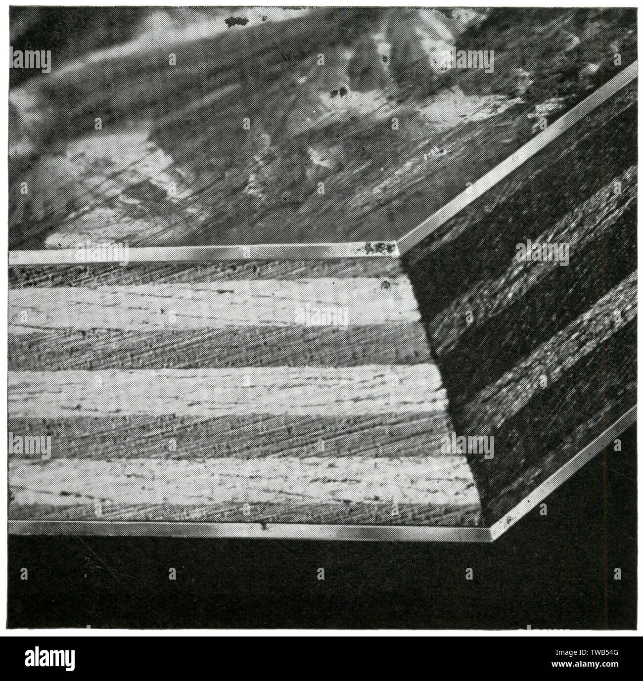 Plymax-Querschnitt, Sperrholzplatte von Venesta Limited Stockfoto