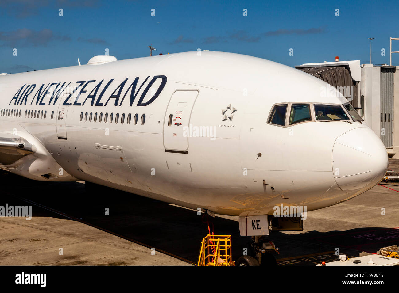 Air New Zealand Flugzeug, internationalen Flughafen Auckland, Nordinsel, Neuseeland Stockfoto