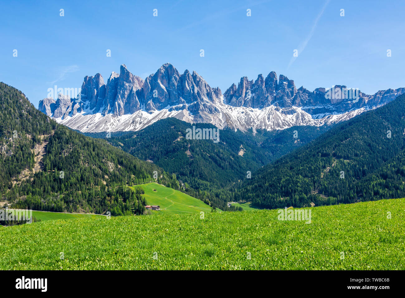 Die geislerspitzen im Frühjahr, Dolomiten, Villnösser Tal, Provinz Bozen, Südtirol, Italien Stockfoto
