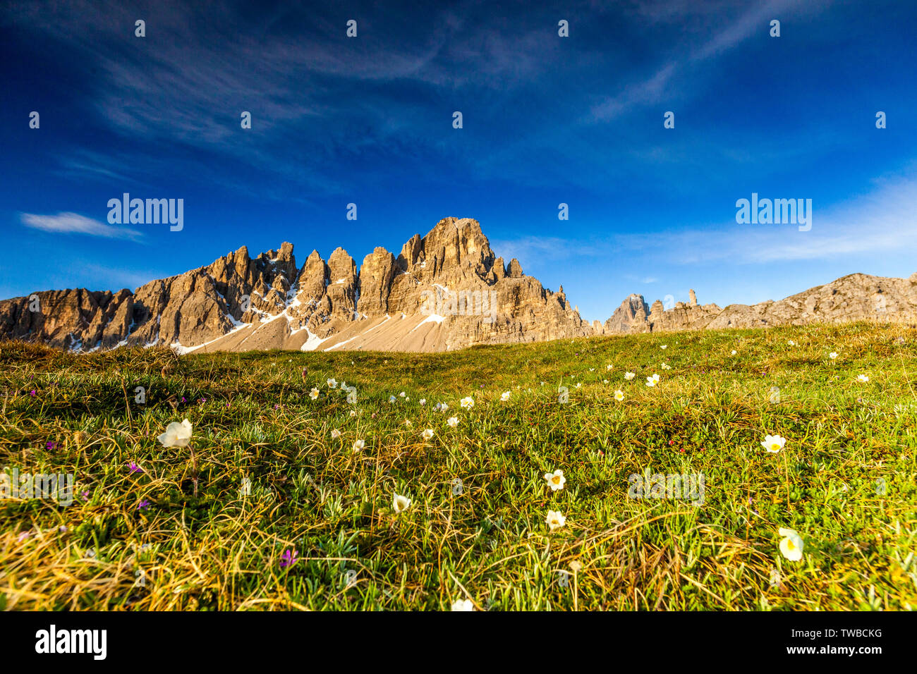 Monte Paterno (paternkofel) im Frühjahr, Naturpark Sextner Dolomiten, Trentino-Alto Adige/Südtirol, Italien Stockfoto