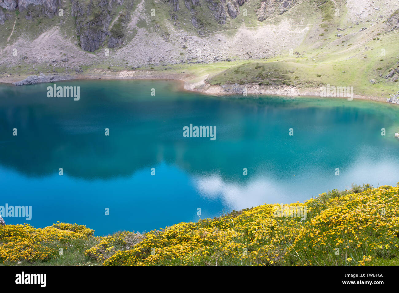 Frühling Landschaft mit gelben Blüten in der Nähe der Saliencia Bergseen. Calabazosa See im Naturpark Somiedo, Spanien, Asturien. Wolken reflecti Stockfoto