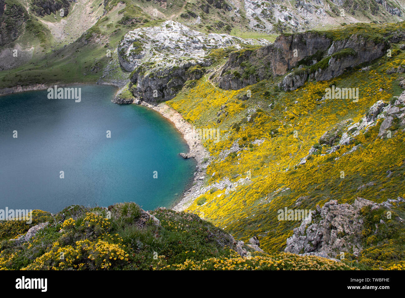 Frühling Landschaft mit gelben Blüten in der Nähe der Saliencia Bergseen. Calabazosa See im Naturpark Somiedo, Spanien, Asturien. Crystal Clear w Stockfoto