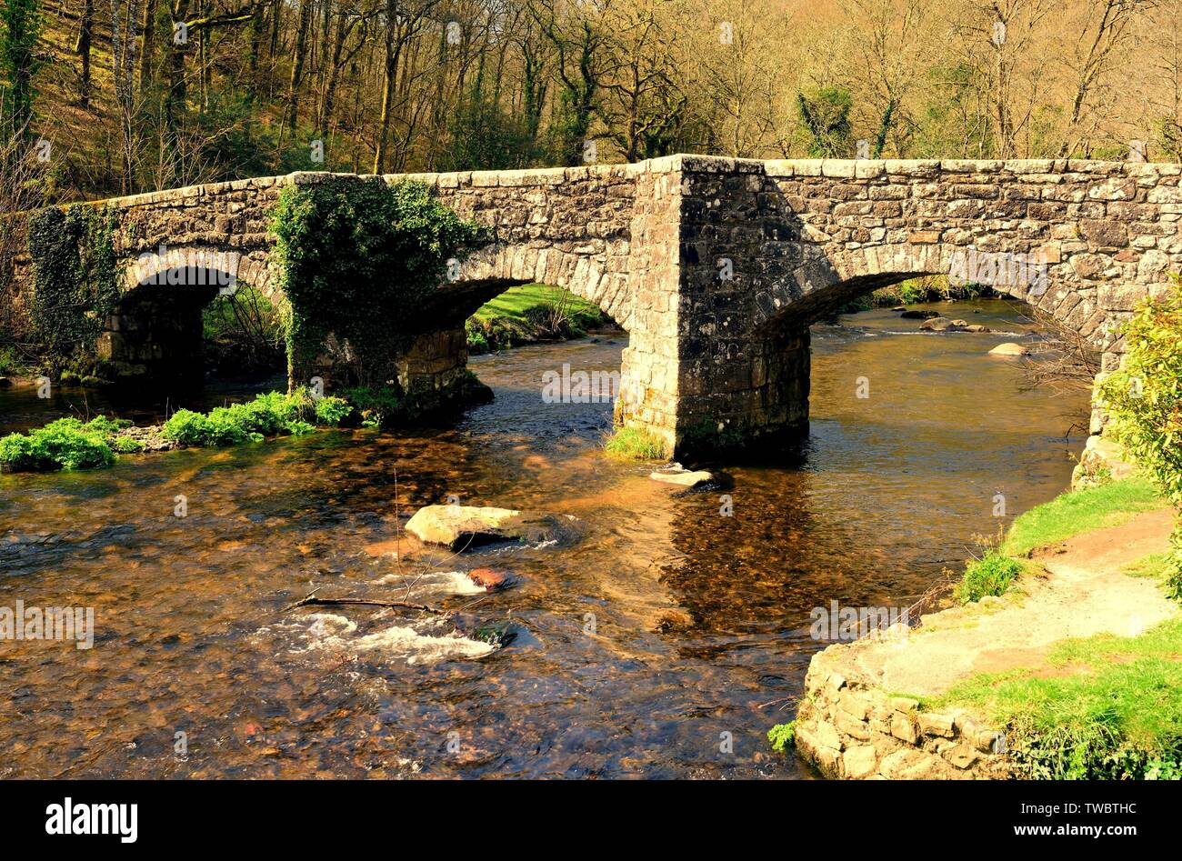 Das fingle Brücke über den Fluss Teign, in den Dartmoor National Park. Stockfoto