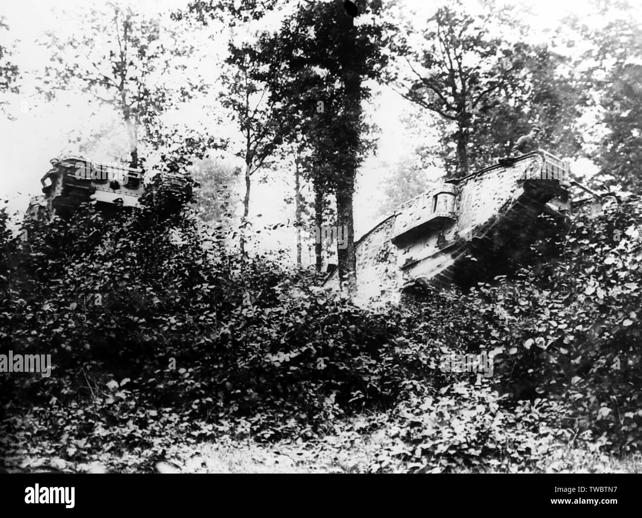 Britische Panzer im Wald in der Nähe von Elverdinghe Oosthoek, 11. September 1917 Stockfoto