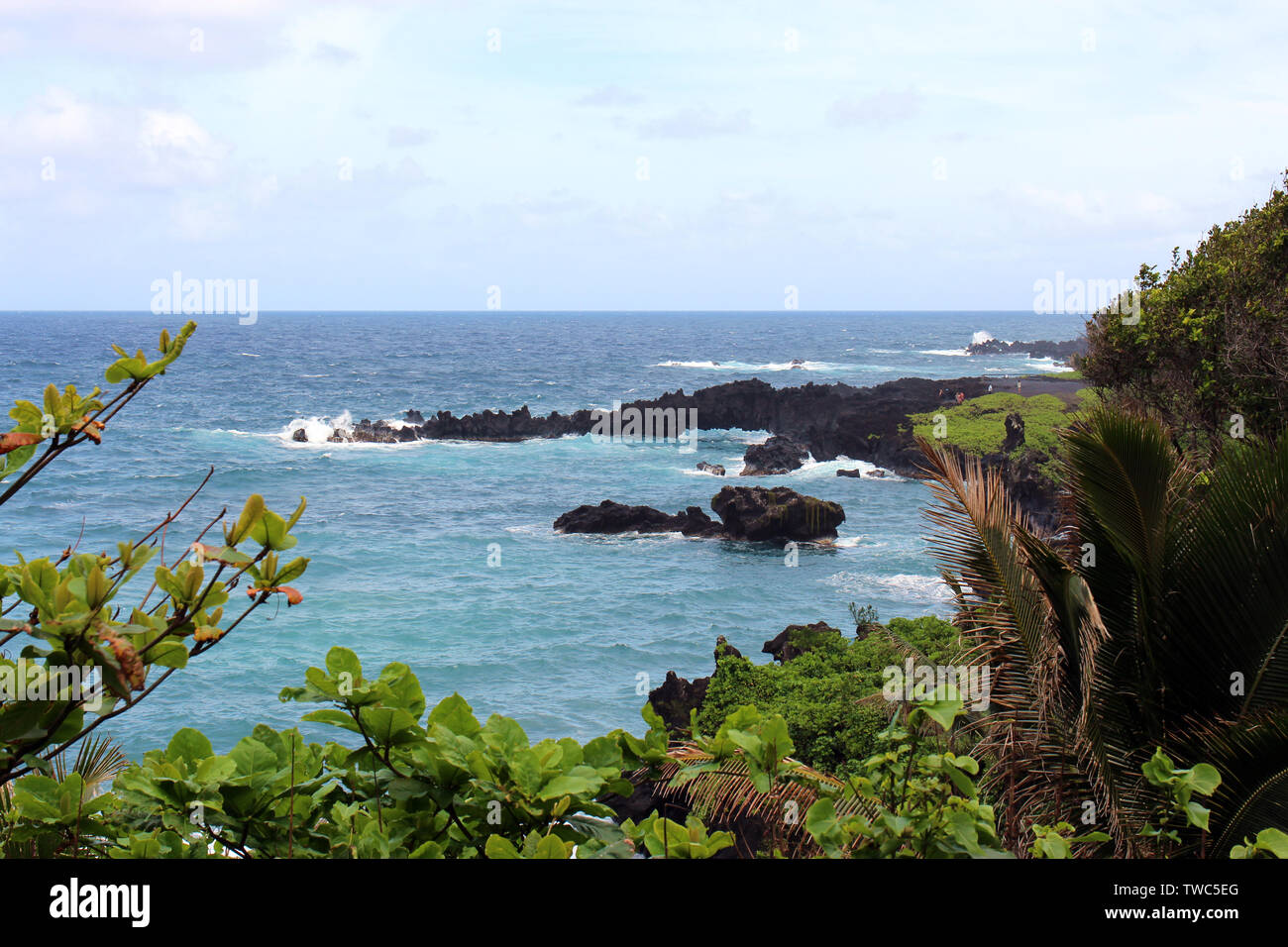 Die vulkanischen Felsen mit Touristen Sightseeing und tropischen Pflanzen im Vordergrund Waianapanapa State Park in Hana, Maui, Hawaii, USA Stockfoto