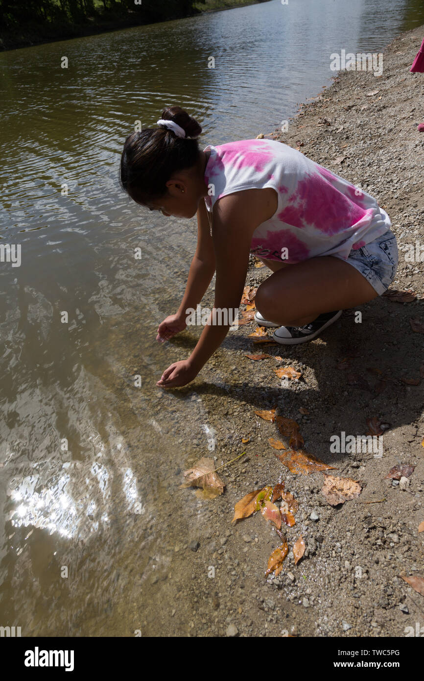 Ein Mädchen im Teenageralter versucht, Elritzen vom St. Joseph River in Fort Wayne, Indiana, USA, zu sammeln. Stockfoto