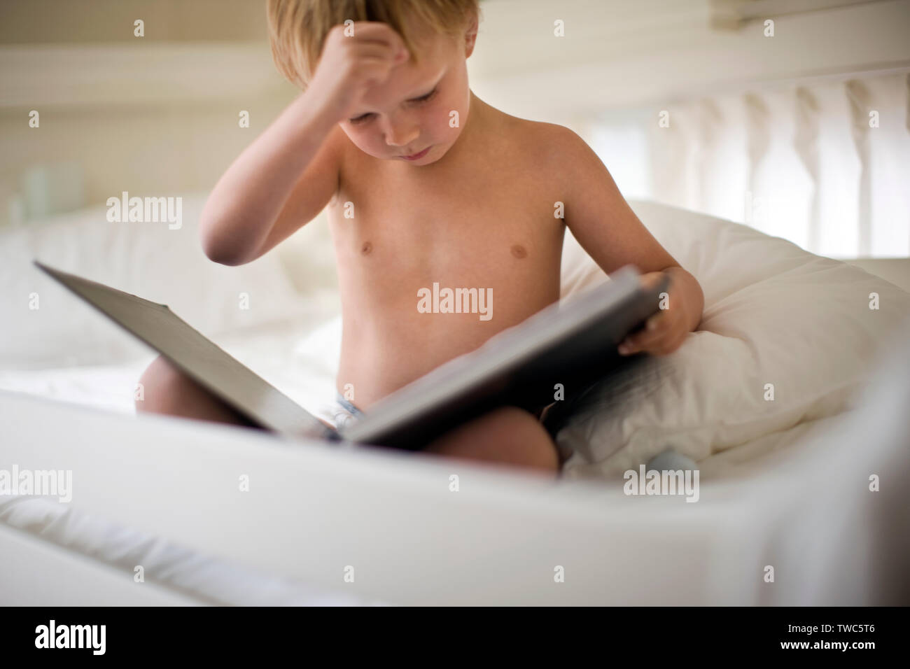 Junge Konzentration beim Lesen eines Buches. Stockfoto