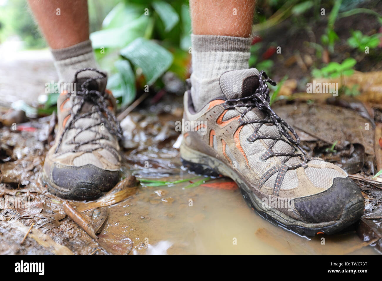 Wanderschuhe auf Wanderer in Wasserpfütze im Regenwald. Mann Wanderer wanderung Stiefel in Nahaufnahme. Männliche Füße. Stockfoto