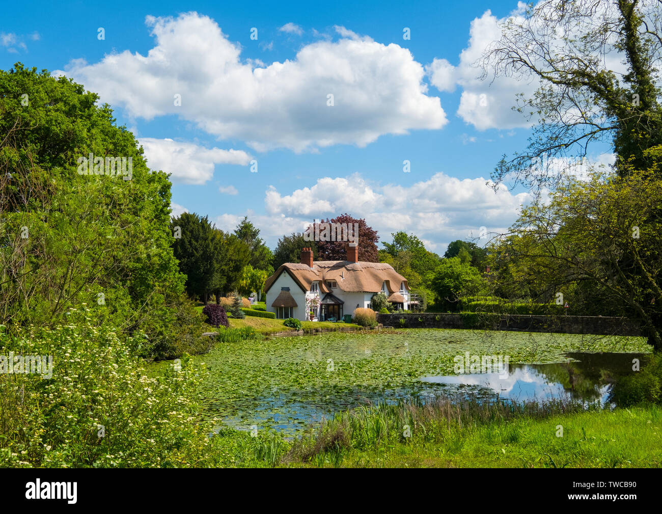 Reetdachhaus in der Village Pool an Badger, Shropshire, England, UK wider Stockfoto