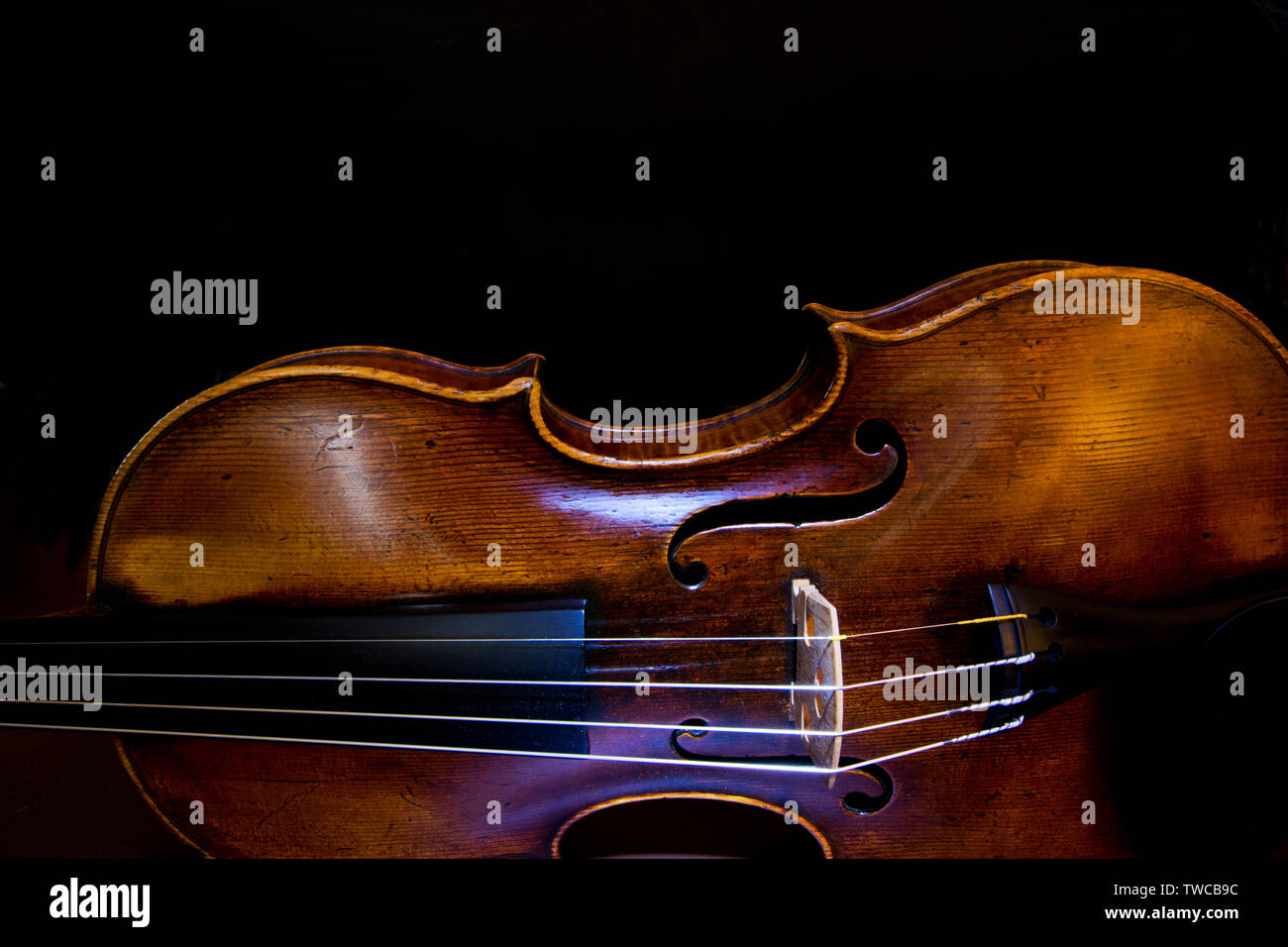 Violine Musikinstrument detail Übersicht Brücke und Streicher Stockfoto