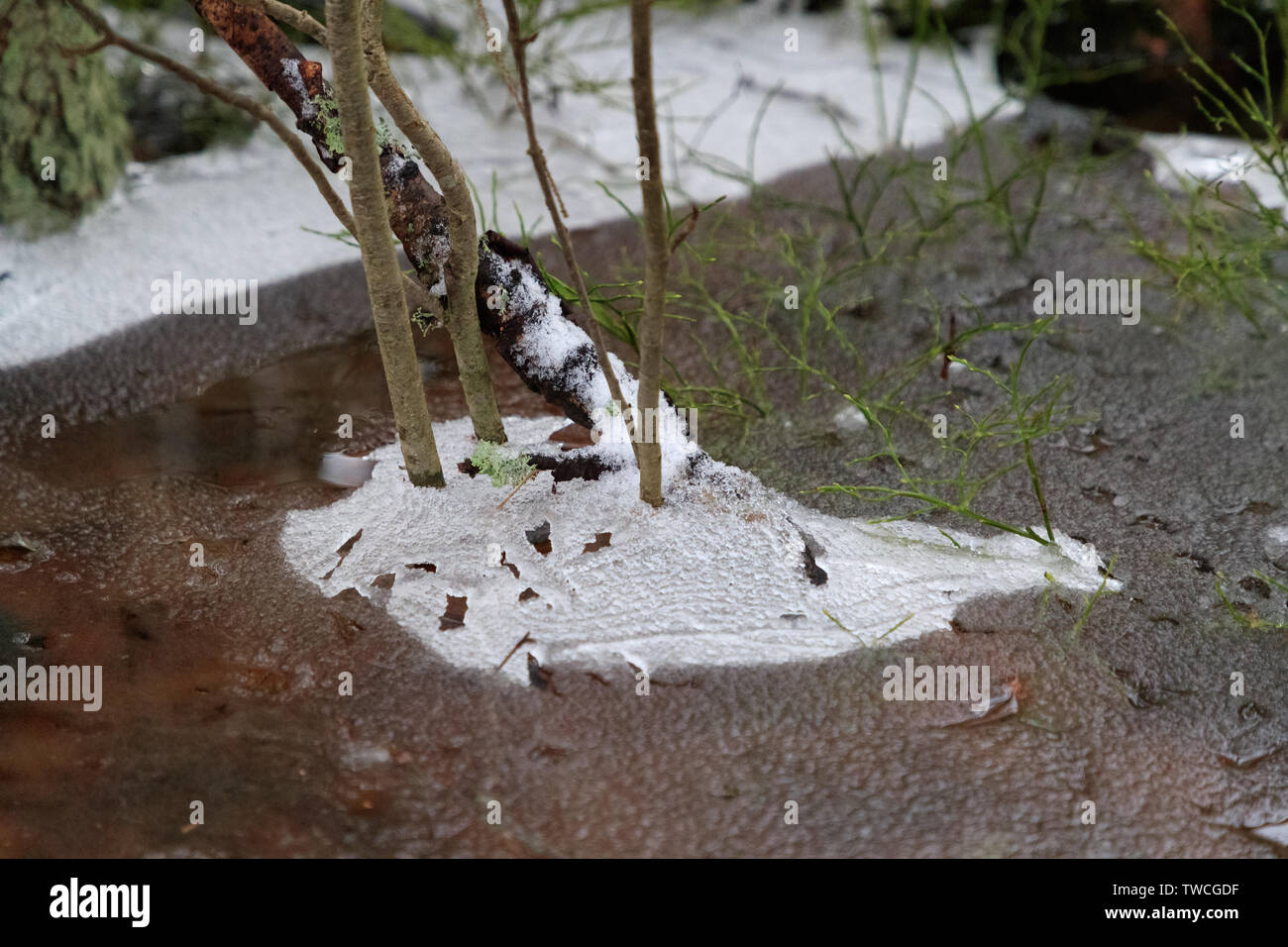 Einfrieren auf dem Wasser Stockfoto