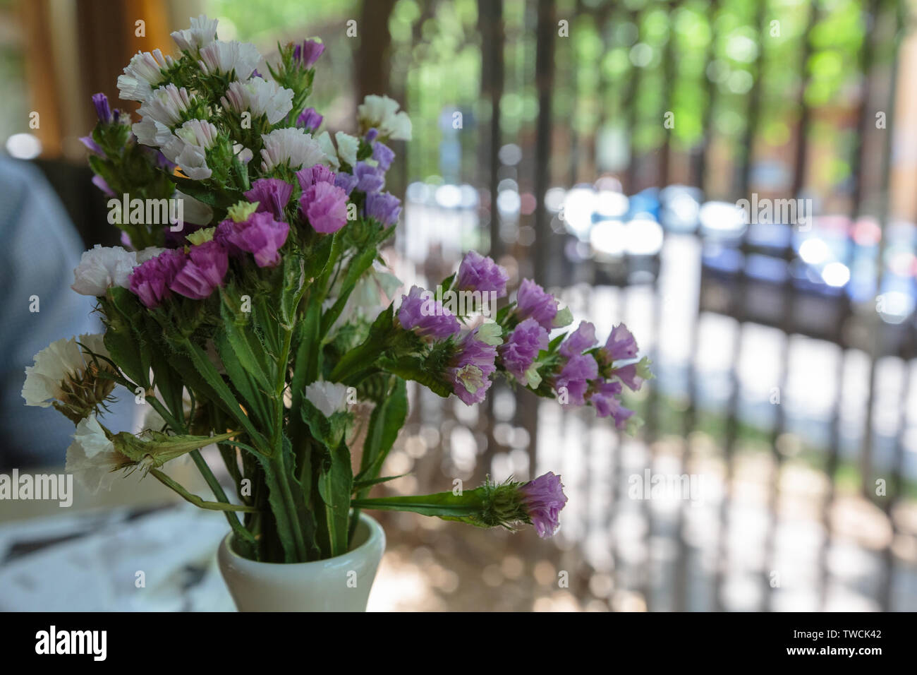 Blumen im Topf auf der Fensterbank Stockfoto