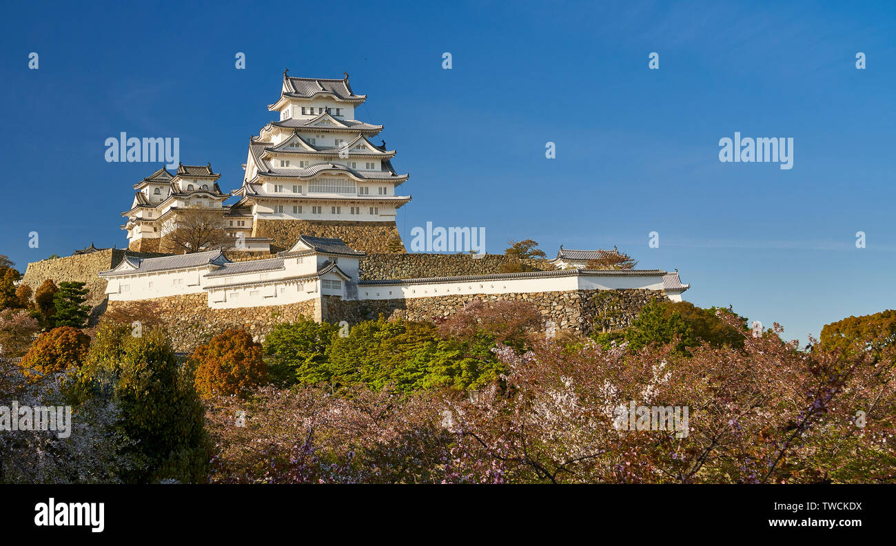 Das Schloss Himeji mit blauen Himmel über und Kirschblüte Bäume unterhalb, beleuchtet von einem warmen Nachmittag ligth. Stockfoto