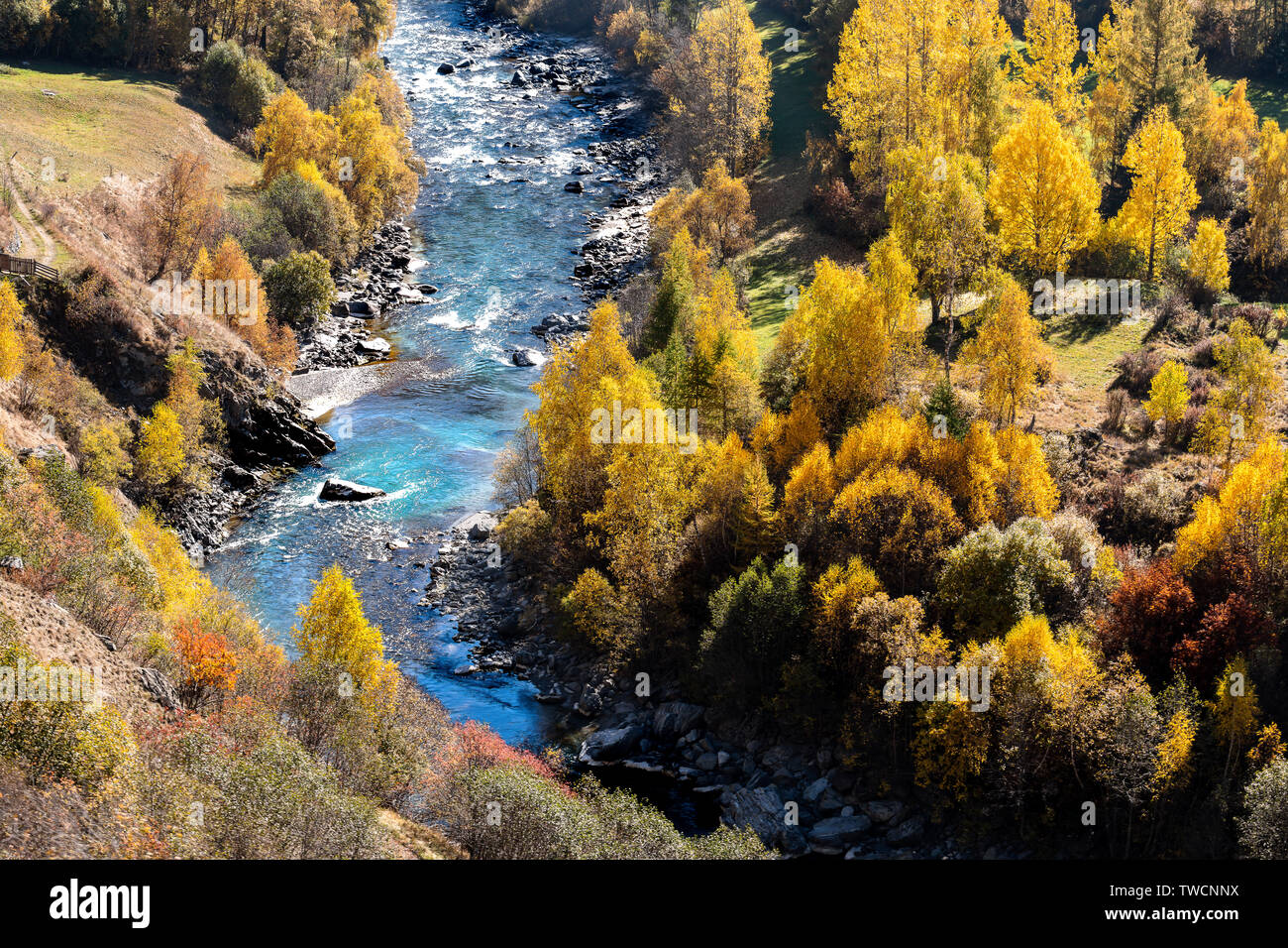 Eine wunderschöne herbstliche Landschaft mit dem Inn Fluss. Engadiner Tal in der Schweiz mit Fluss und Bäumen im Herbst. Stockfoto