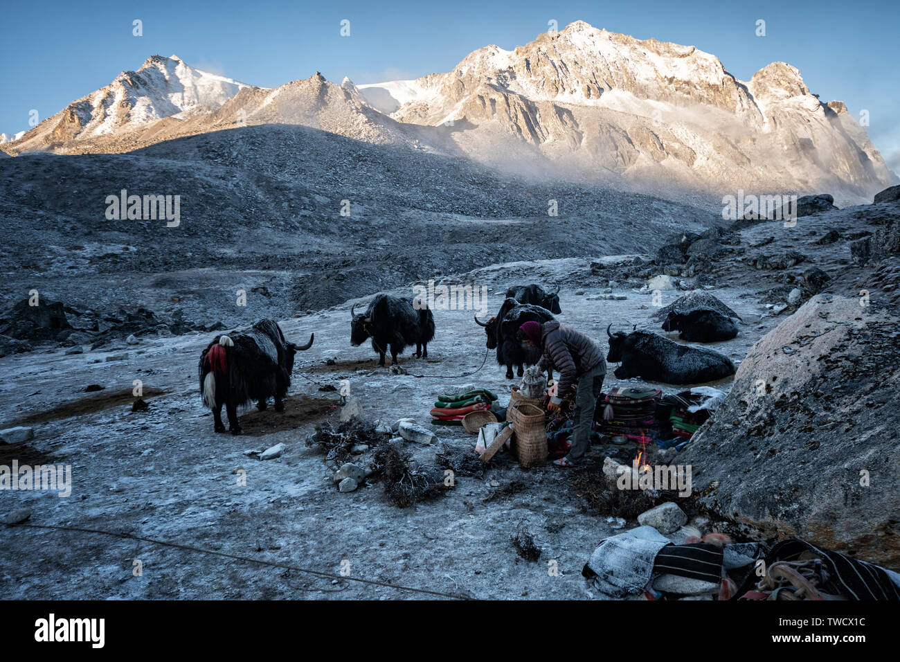 Der Tag steigt am kalten camp Jichu Dramo, Wangdue Phodrang Bezirk, Snowman Trek, Bhutan Stockfoto