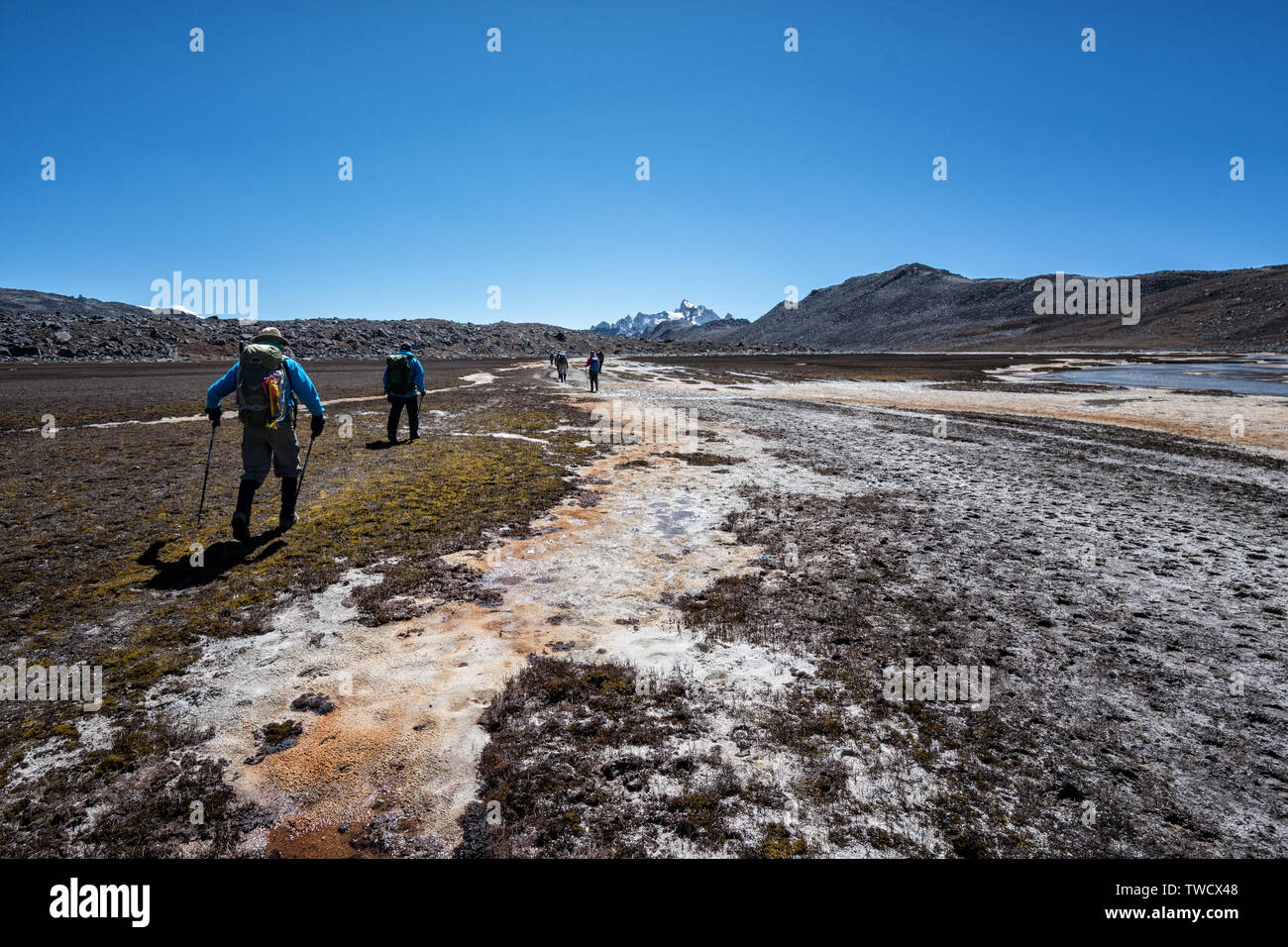 Trekker Kreuzung ein Plateau auf dem Weg nach Chukarpo, Wangdue Phodrang Bezirk, Snowman Trek, Bhutan Stockfoto