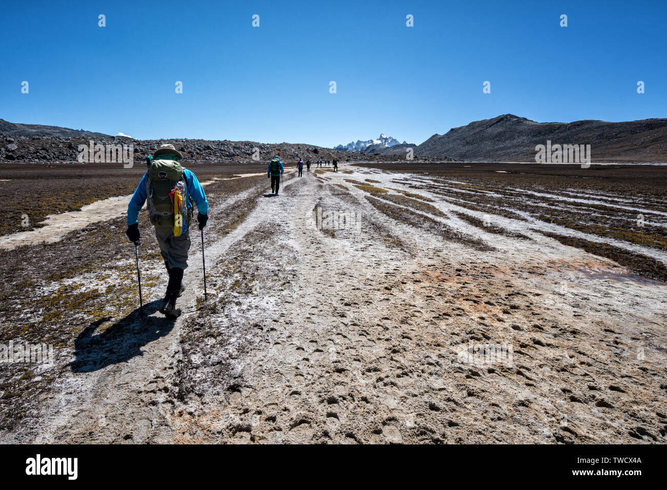 Wanderer auf dem Weg nach Chukarpo, Wangdue Phodrang Bezirk, Snowman Trek, Bhutan Stockfoto