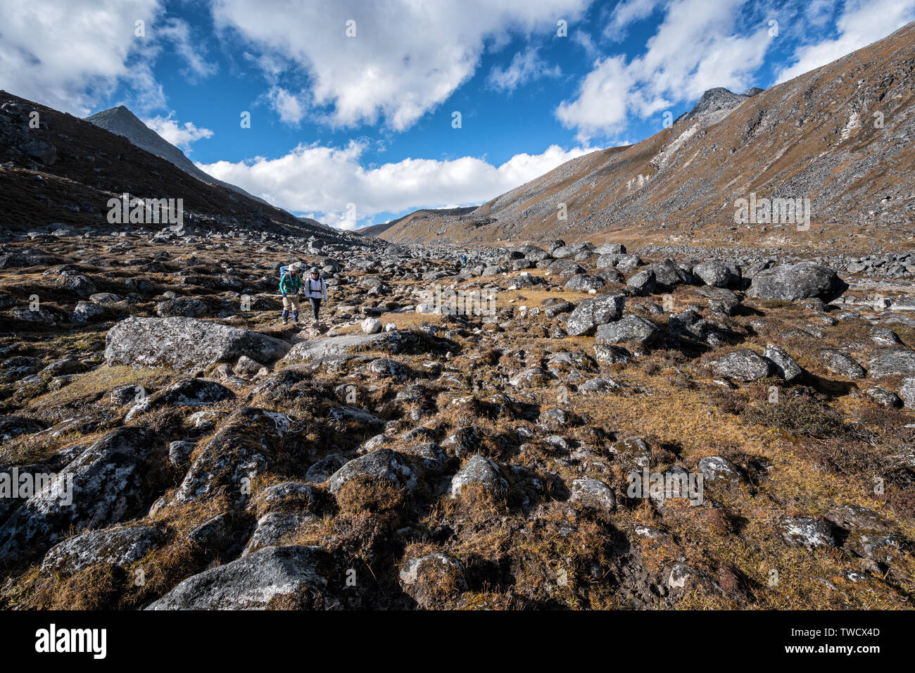 Tal in der Nähe von Chukarpo Camp, Wangdue Phodrang Bezirk, Snowman Trek, Bhutan Stockfoto