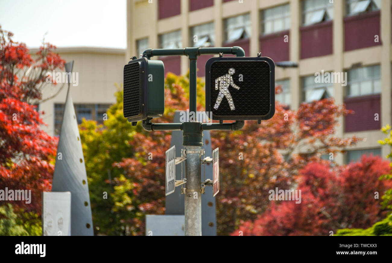 BREMERTON, Washington State, USA - JUNI 2018: Nahaufnahme eines 'Walk'-Signal auf einem Zebrastreifen im Zentrum von Bremerton, WA. Stockfoto