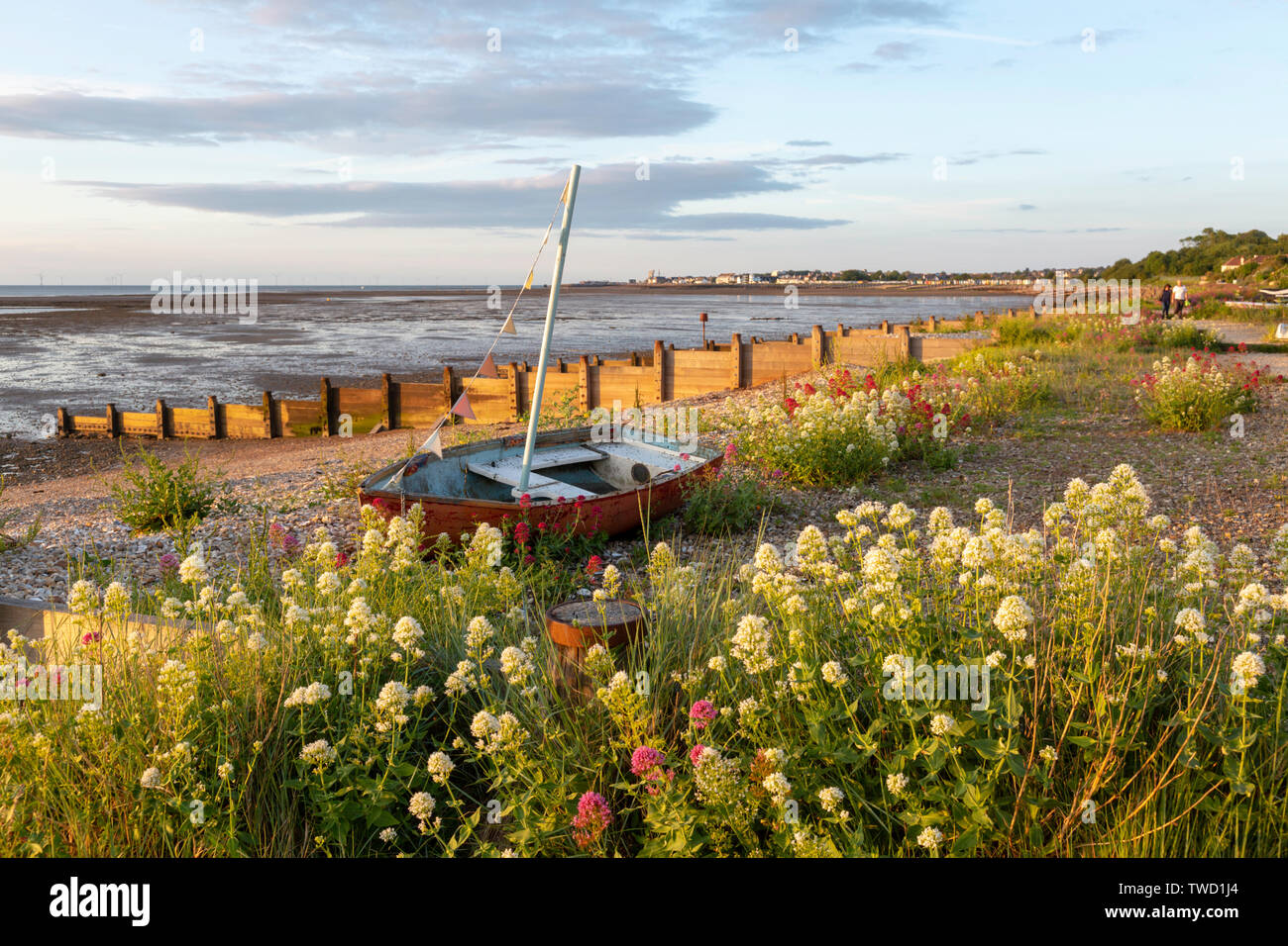 Wilden roten und weißen Baldrian am Strand von Seasalter an der Nord Küste von Kent in der Nähe von Whitstable. Ein kleines Segelboot auf dem Kies festgemacht. Stockfoto