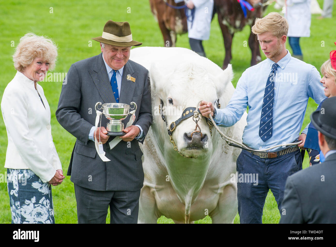 Die lincolnshire Zeigen - Lincoln, Lincolnshire, England, UK, 2019. feiert 150 Jahre der Lincolnshire Landwirtschaftliche Gesellschaft am 2019 Lincolnshire zeigen Stockfoto